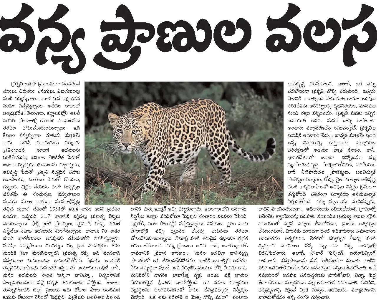 Article Clip #398