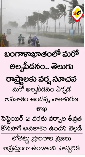 Article Clip #874